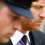 Dianin najveći strah se ostvario: kako su prekršeno obećanje, knjiga i Meghan zauvijek zavadili kraljevsku braću