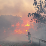 Video. Novi veliki požar izbio na Pelješcu. Vatrogasci dižu sve preostale snage, iz Omiša stižu dva kanadera