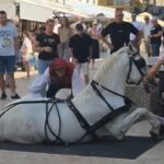 Prijatelji životinja reagirali na mučnu snimku konja sa Sinjske alke: ‘Sramotno, javnost se s pravom zgraža’