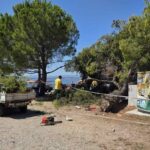 Drama u Crikvenici: srušilo se stablo na plaži, ozlijeđeno četvero kupača, među njima i dvoje djece