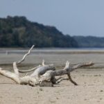 Ekstremna suša na istoku zemlje ispraznila bunare i Karašicu, Dunav na povijesno niskom vodostaju