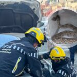 Foto. Podigao haubu svog auta na parkiralištu u Toulouseu, a unutra siktao udav