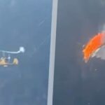 Zastrašujuća snimka iz Italije: žirokopter se zabio u kabele žičare i eksplodirao, poginule dvije osobe