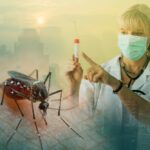 Virus Zapadnog Nila: stručnjaci preporučuju ova sredstva za zaštitu