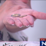 Šefica udruge Sjena na televiziji izvadila tri eura pa se obratila ministru: ‘Vama je ovo poniženje pravedno?’