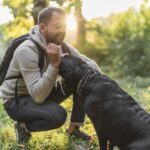Mješanku labradora Chloe dresiraju da može nanjušiti rak, na glavi nosi specijalnu Iron Man kacigu