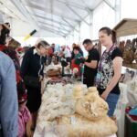 Veliko istraživanje o agroturizmu, ugostitelji se žale: ‘Zarobljeni smo neprilagođenim propisima’