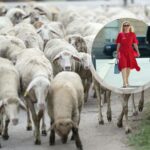 Marijana Petir javlja da hrvatsko kozarstvo i ovčarstvo imaju budućnost: ‘Riješit ćemo i pitanje vune’